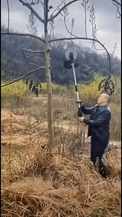 1747707851779853.gif