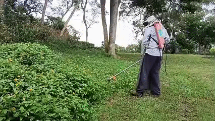 1747707989413243.gif